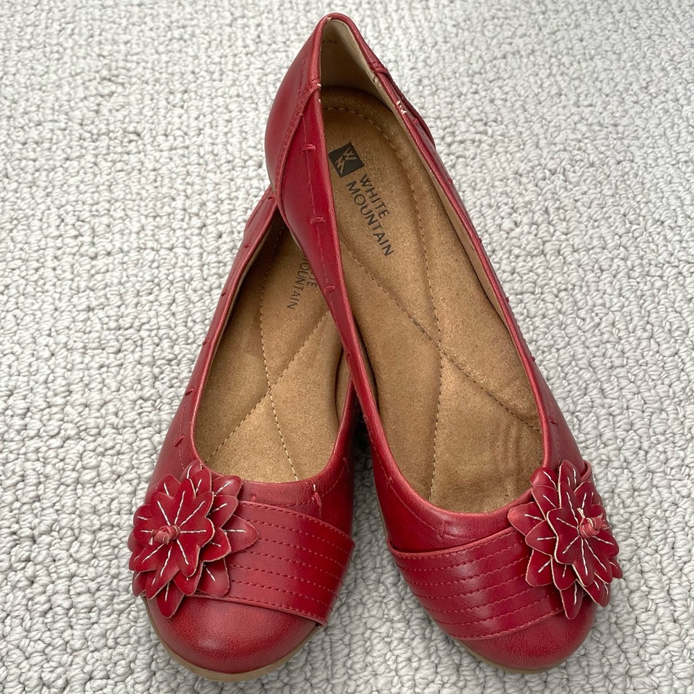 White Mountain Red Mum Flower Flat - Size 6